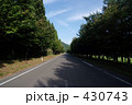 森林の道路