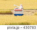 稲刈りの風景　オーガー付コンバイン