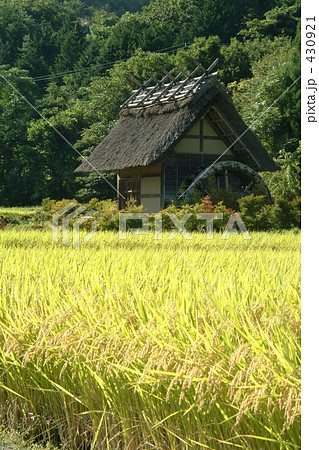 非城市场景 非都会区 乡下 430921