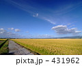 秋晴れの道