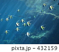 美ら海水族館