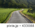 路