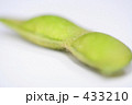 枝豆の毛