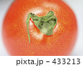 トマトのアタマ