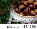 秋の味覚　栗