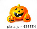 揃ハロウィンかぼちゃ