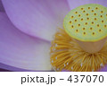 静寂