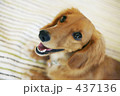 遊び待ち
