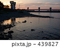 夕暮れの多摩川