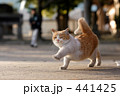 行進　のらねこ