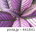 メタリックな葉