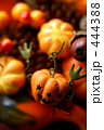 ハロウィン