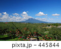 10月の岩木山