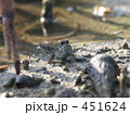 とびはぜ