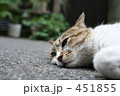 うとうと
