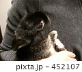 うさぎ