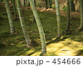 竹林