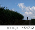 写真を撮る子 写真を撮る子