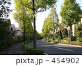 街路樹