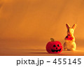 かぼとうさぎ