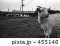 武蔵野線開業・沿線風景　昭和４８年　2969