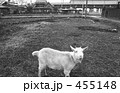武蔵野線開業・沿線風景　昭和４８年　2971