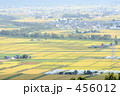 田園地帯