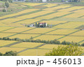 田園地帯