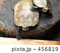 ボクも ボクも
