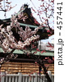 大阪天満宮の梅