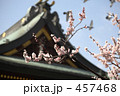 大阪天満宮の梅
