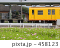 電車とコスモスと学生と