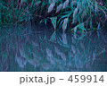 静