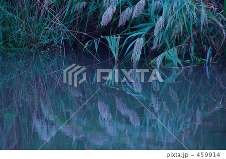 「静」の写真素材 「静」の写真素材