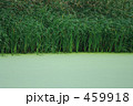 静かに緑