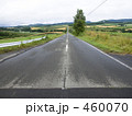 雨上がりの一本道