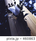 神社　