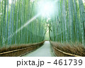 竹林