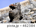 見つめるシーサー・久高島内の民家の屋根上