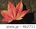 もみじ