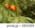 ハロウィン飾り