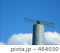 とんぼと秋の空