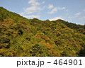 山