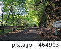 林道　木漏れ日