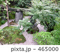 法泉院の庭