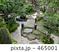 法泉院の庭
