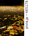 The season of colored leaves