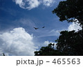 沖縄の空とつばめ