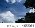 沖縄の空とつばめ