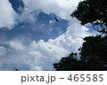 沖縄の空とつばめ
